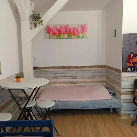 Apartment Duza Kawalerka Kossaka 12b -balkon -dla Max 4osob Przy Galeri Kasztanowa Centrum